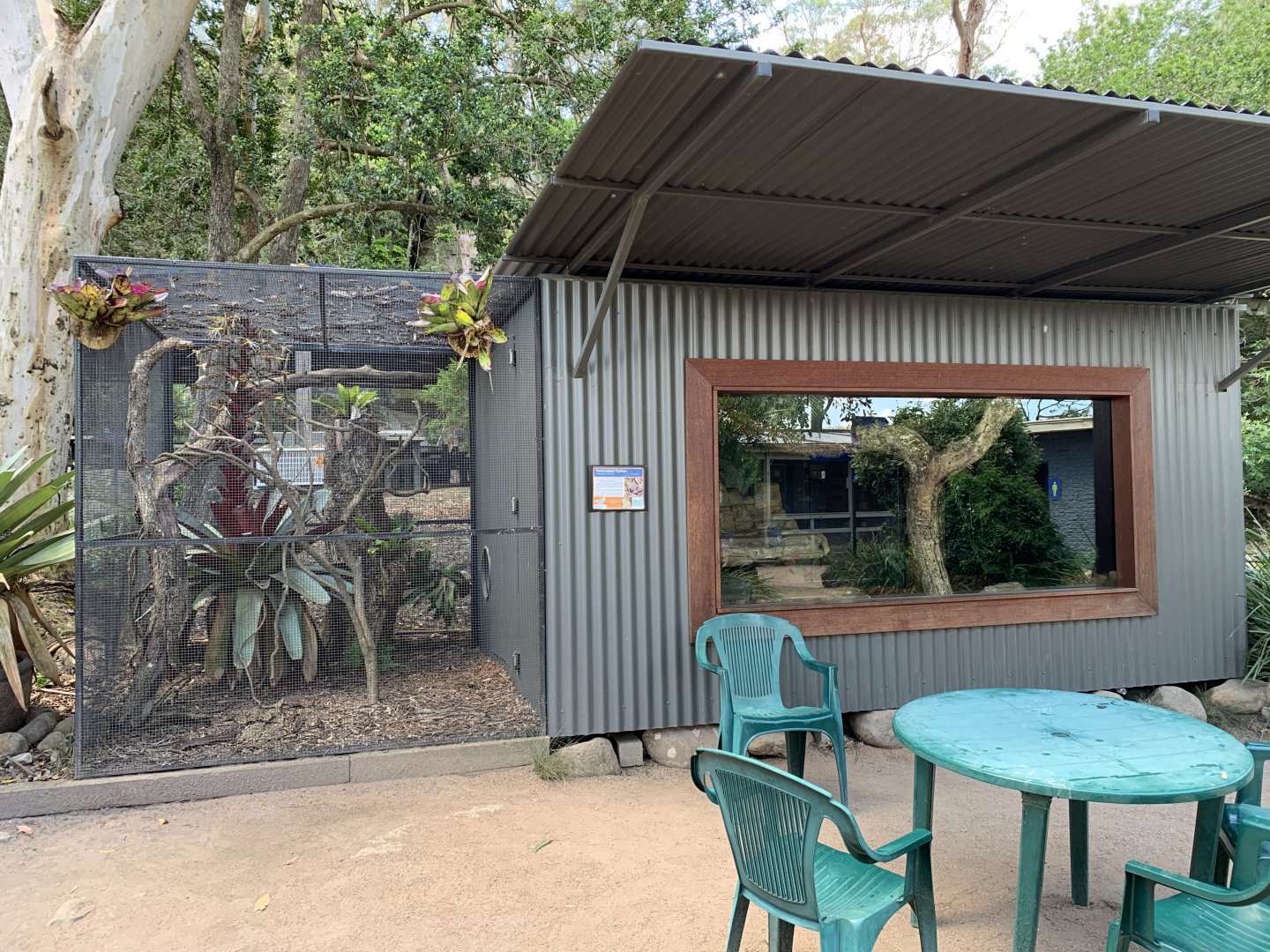 Reticulated Python Exhibit