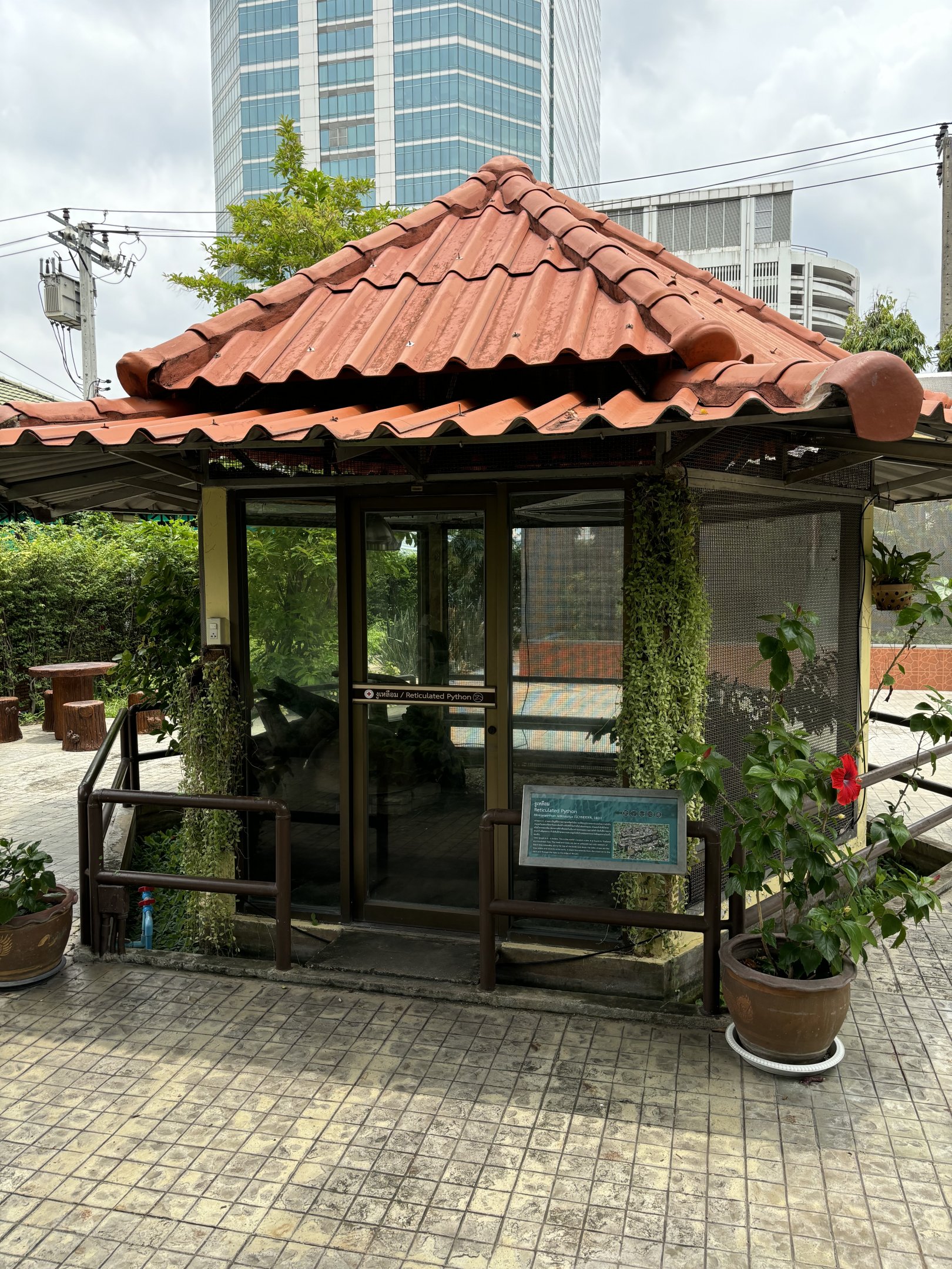 Reticulated Python Exhibit