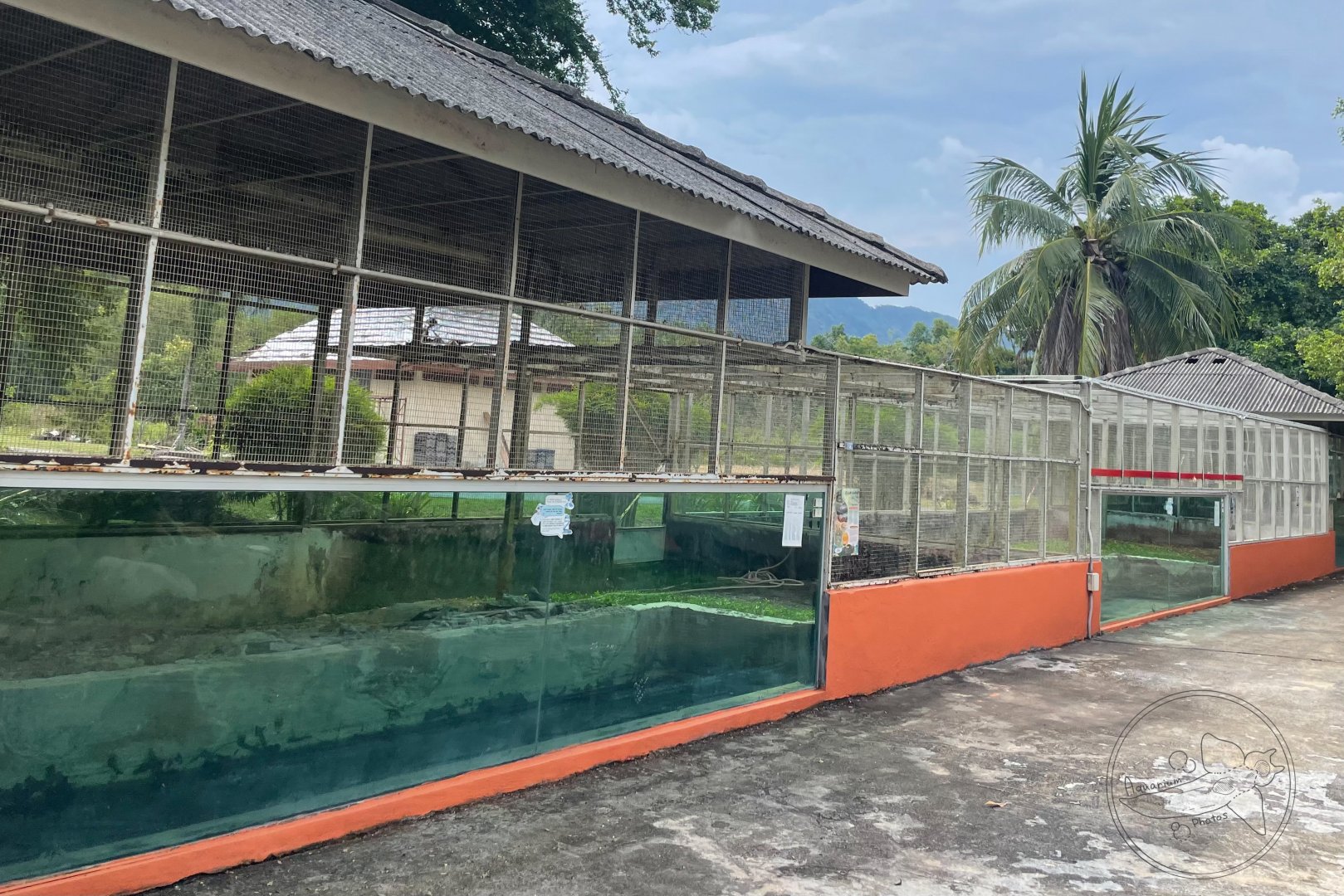 Reticulated Python Exhibit