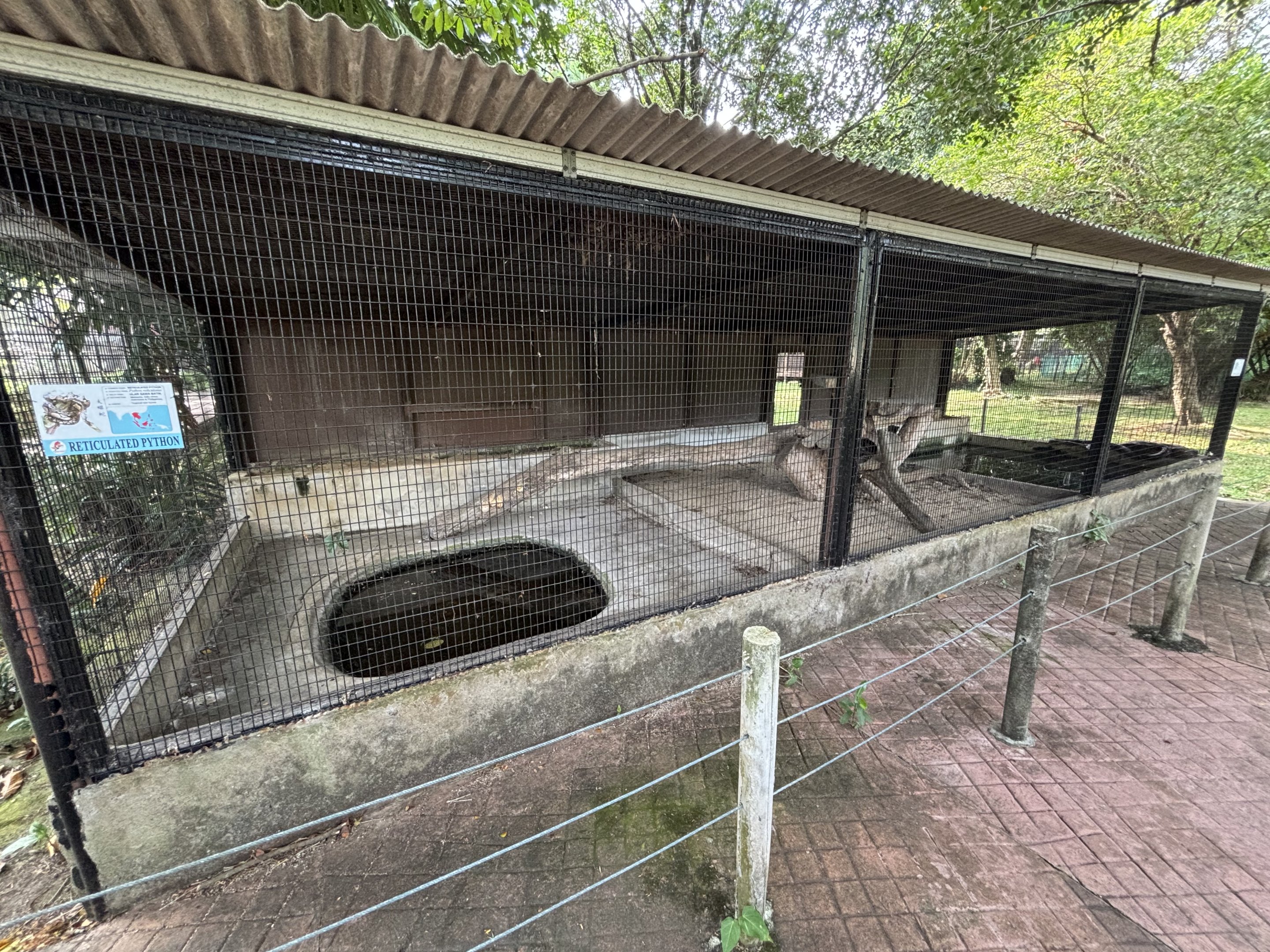 Reticulated Python Exhibit