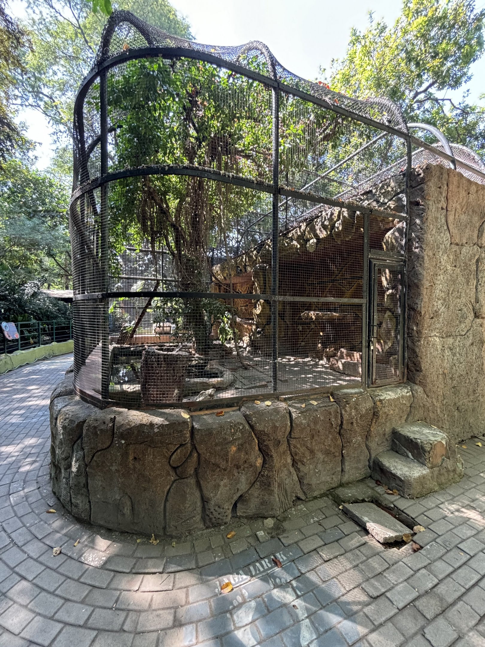 Reticulated Python Exhibit