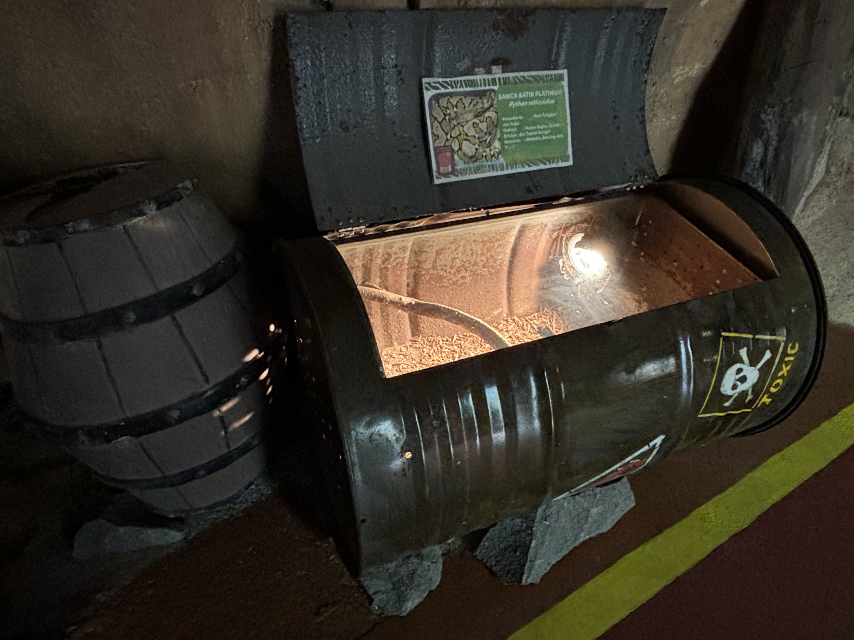 Reticulated Python Exhibit