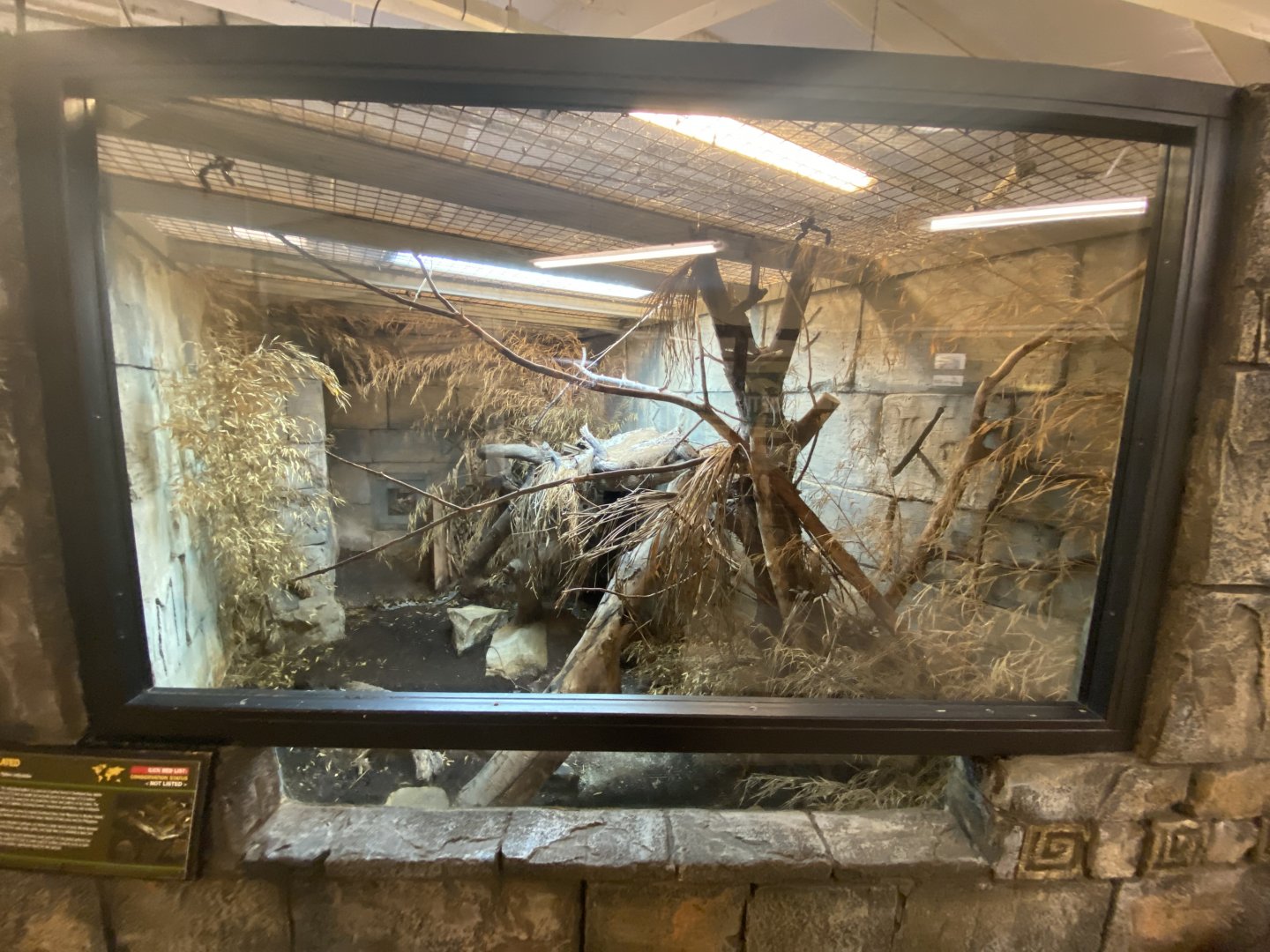 Reticulated python exhibit