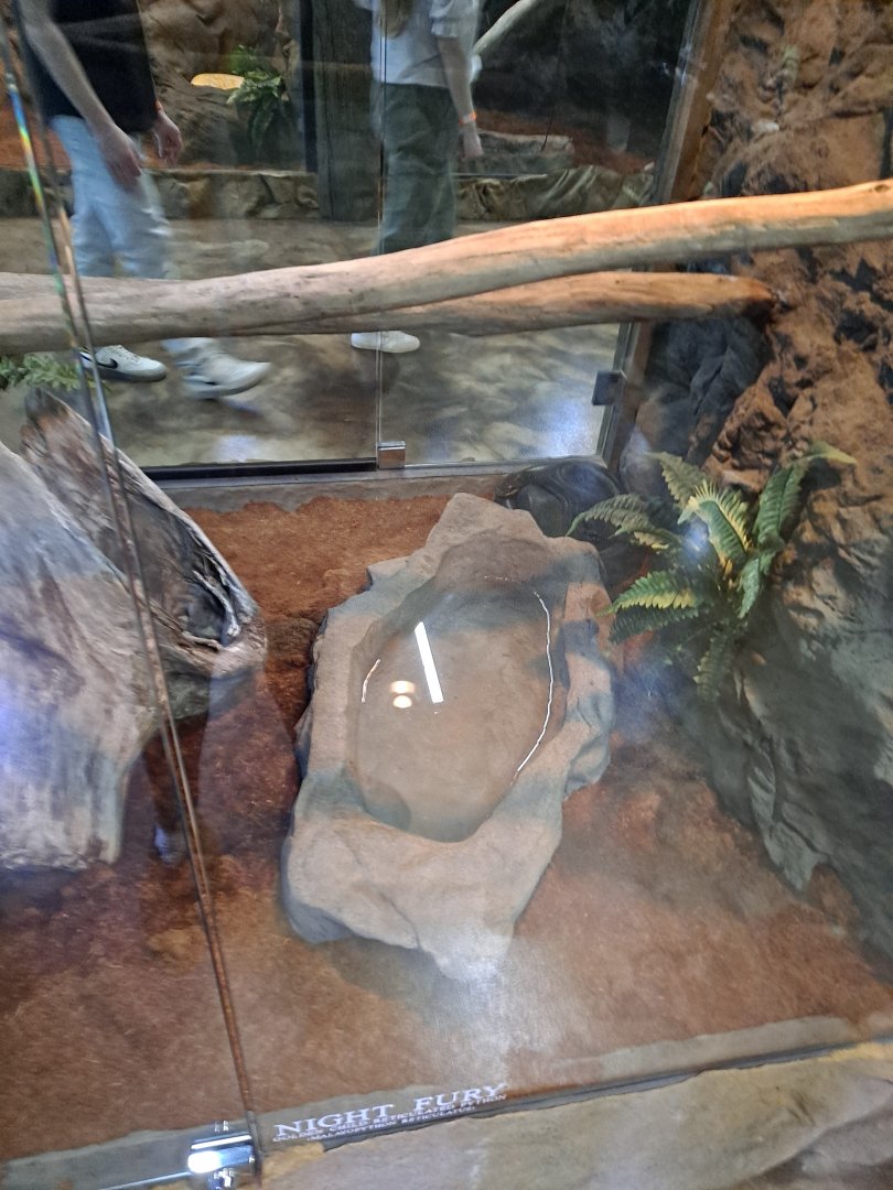 Reticulated Python (Night Fury) Exhibit (4/19/25)