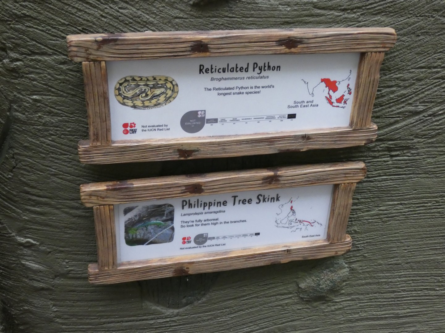 Reticulated Python & Philippine Tree Skink Signage in RORA