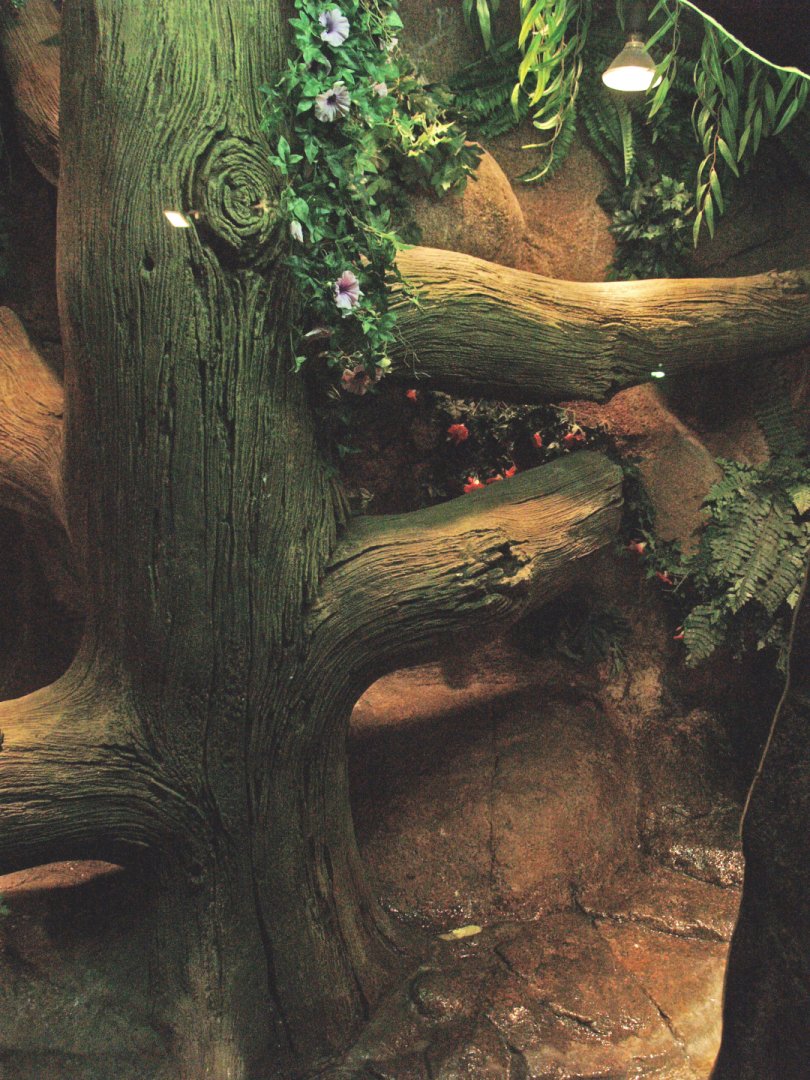 Reticulated python terrarium, first part, 2009-04-14