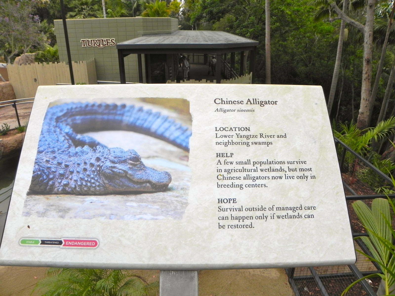 Retile Walk exhibit signs