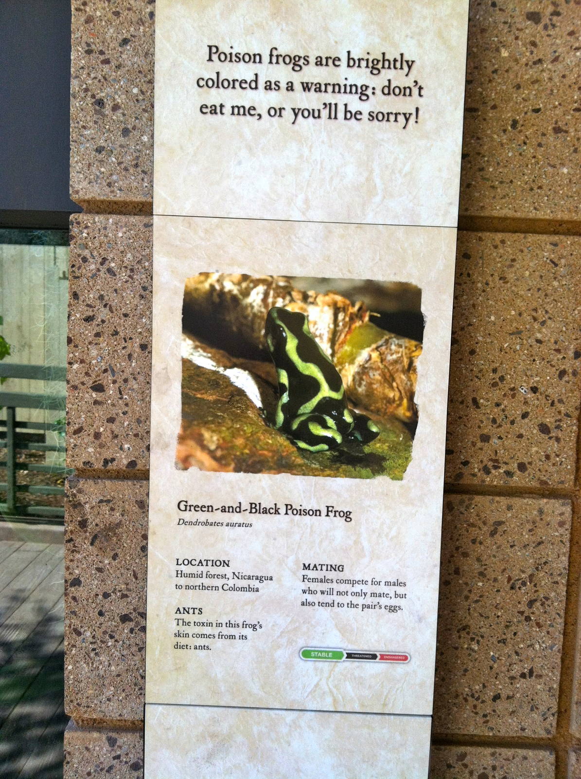 Retile Walk exhibit signs