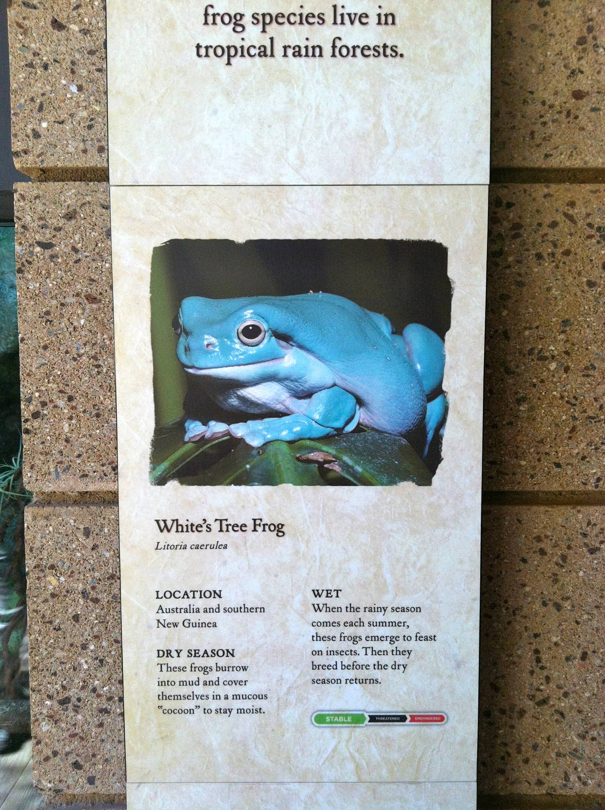 Retile Walk exhibit signs