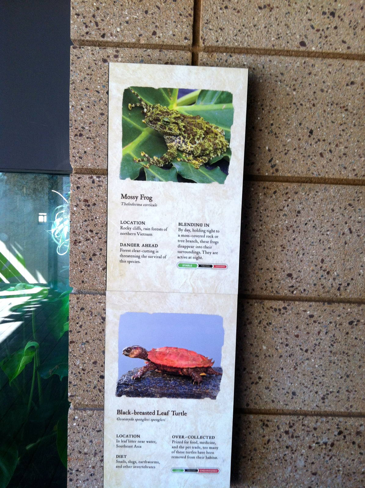 Retile Walk exhibit signs