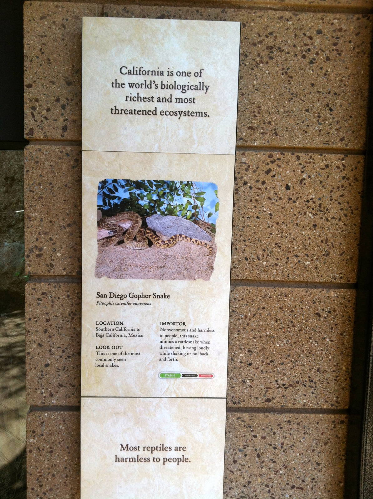 Retile Walk exhibit signs