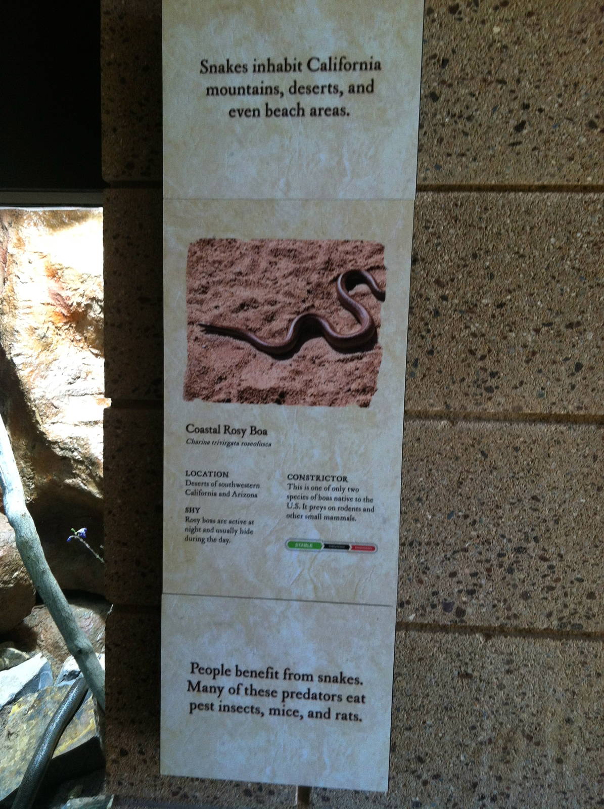 Retile Walk exhibit signs