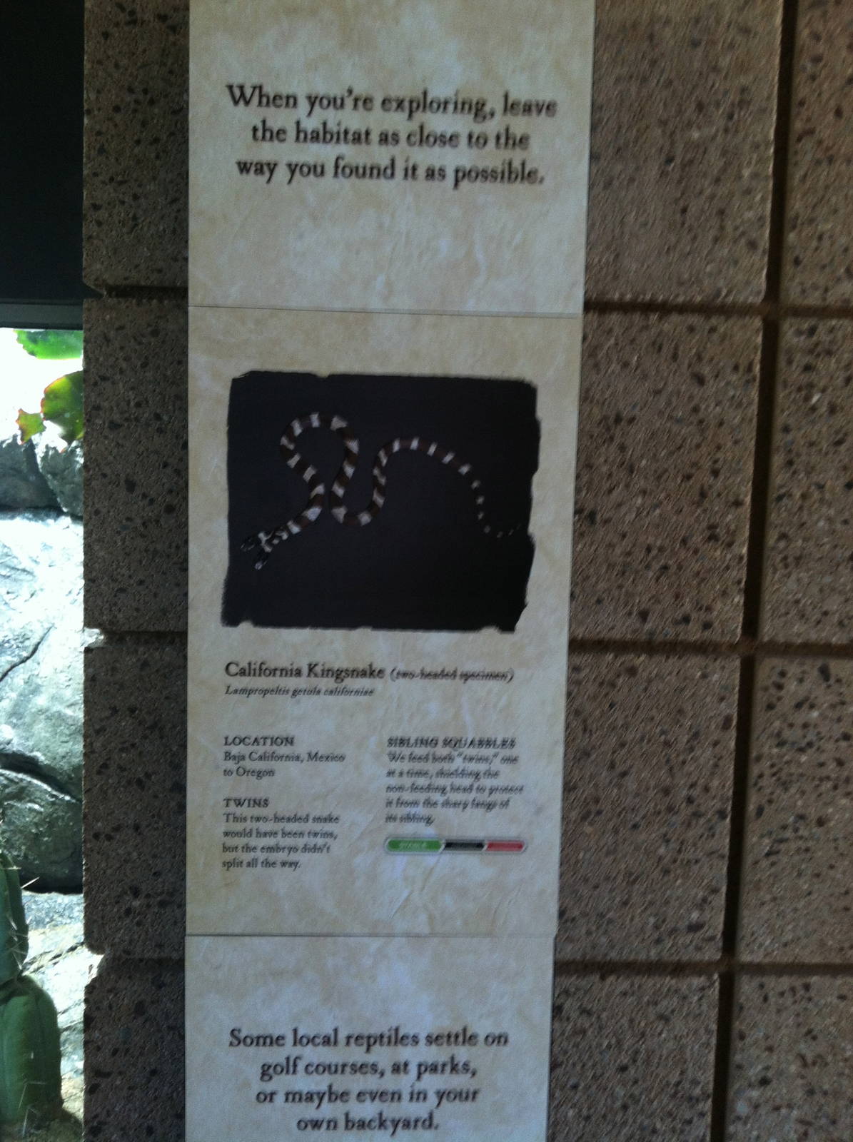 Retile Walk exhibit signs