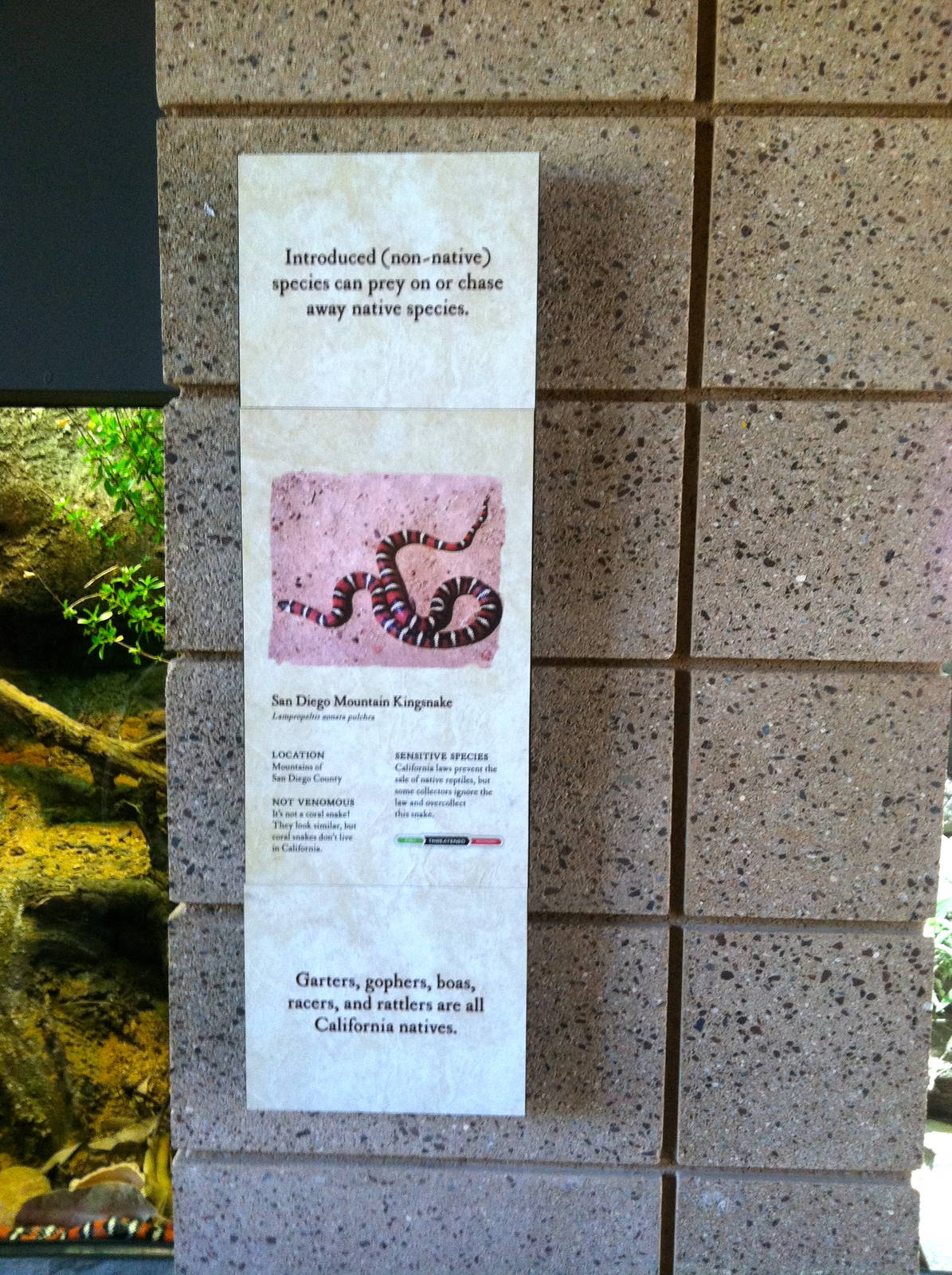 Retile Walk exhibit signs