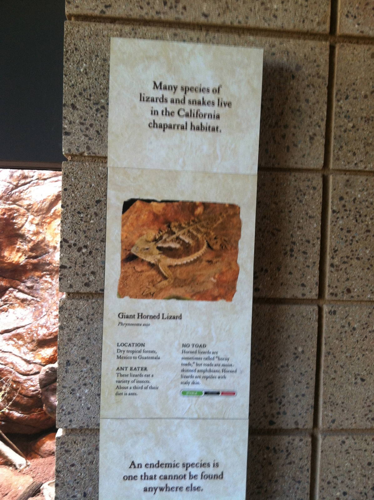 Retile Walk exhibit signs