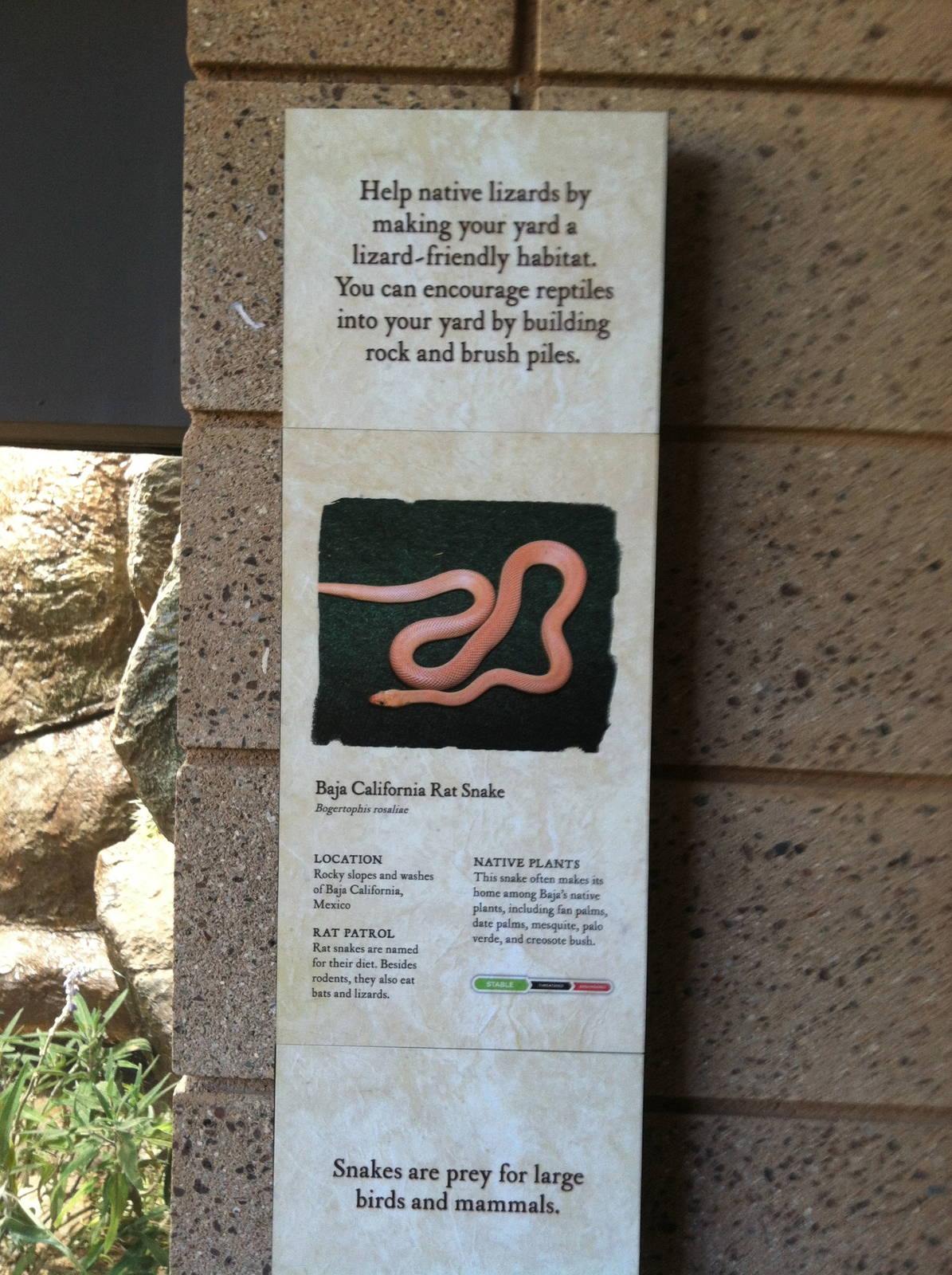 Retile Walk exhibit signs