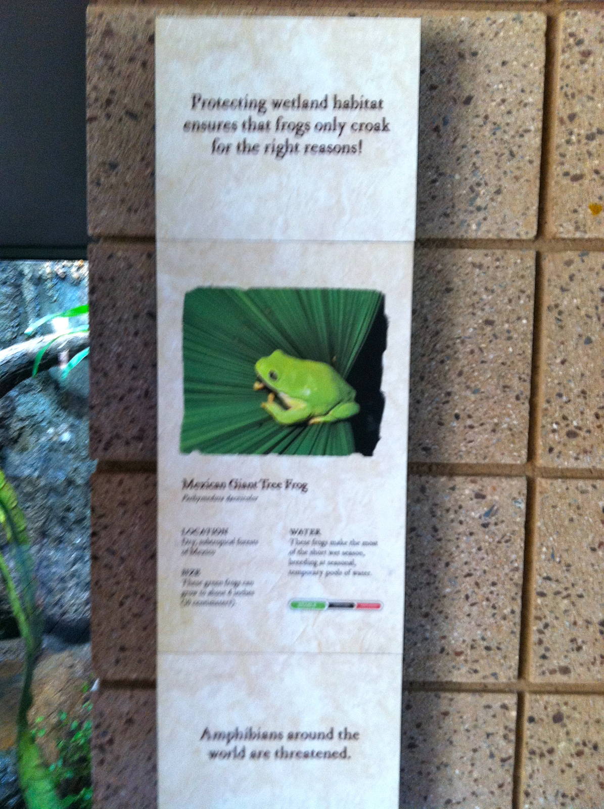 Retile Walk exhibit signs