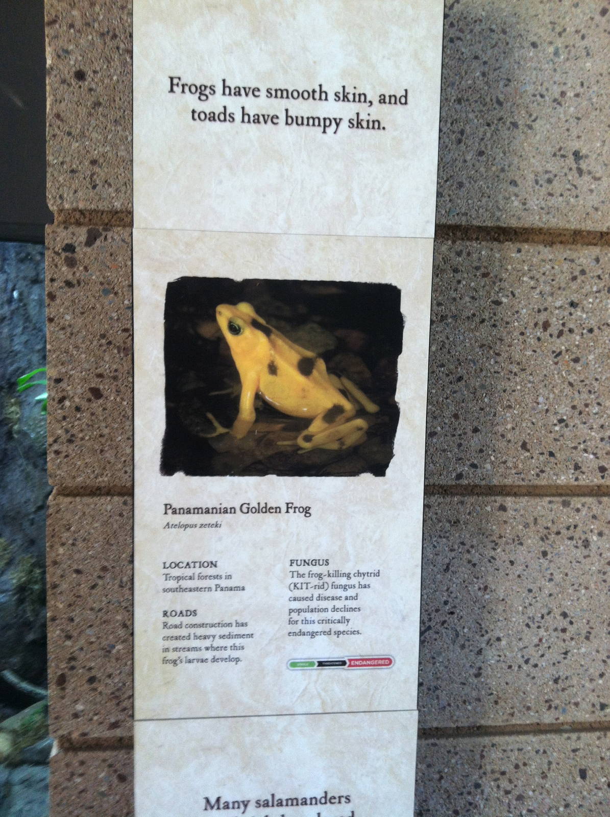 Retile Walk exhibit signs