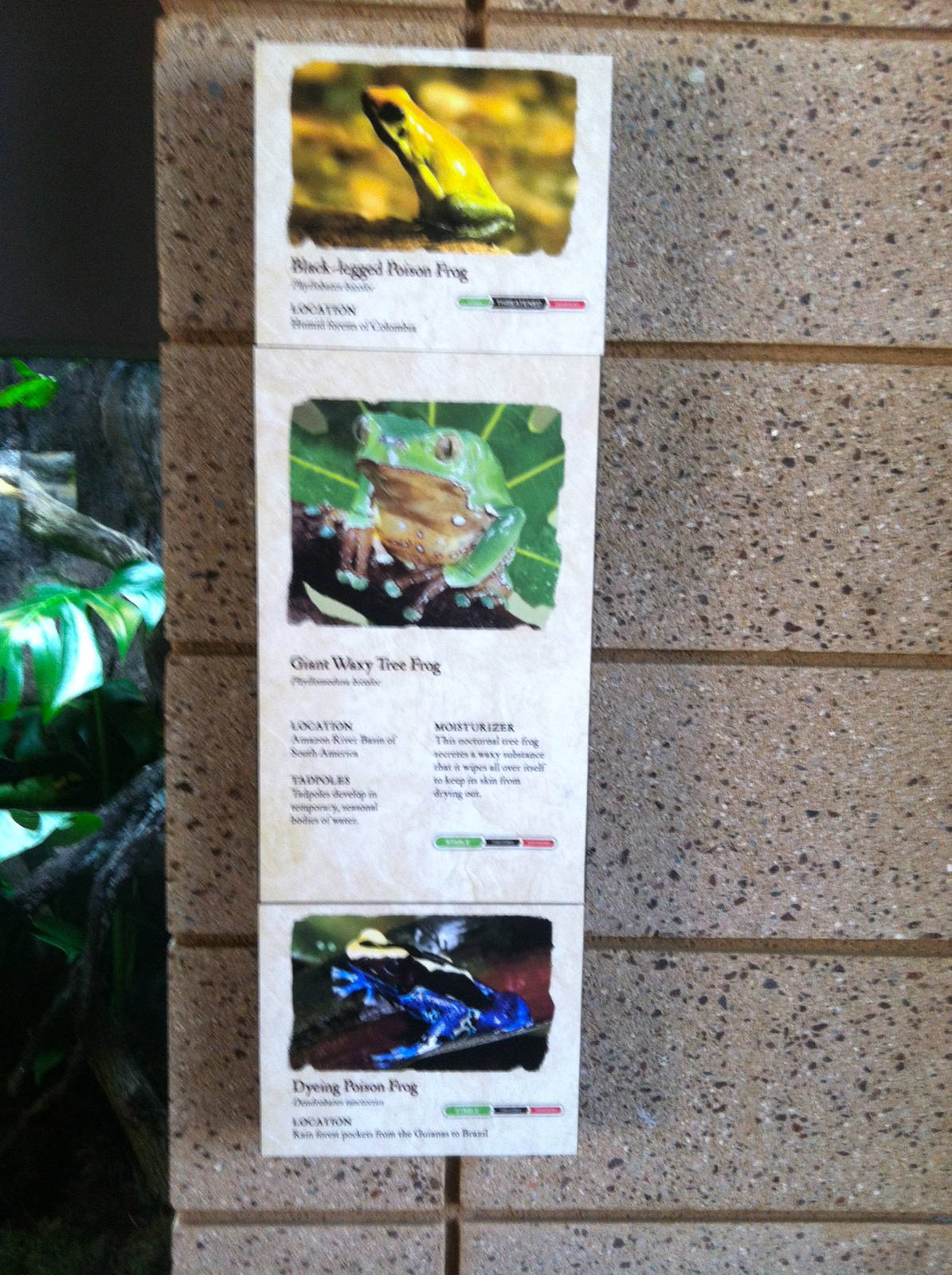 Retile Walk exhibit signs