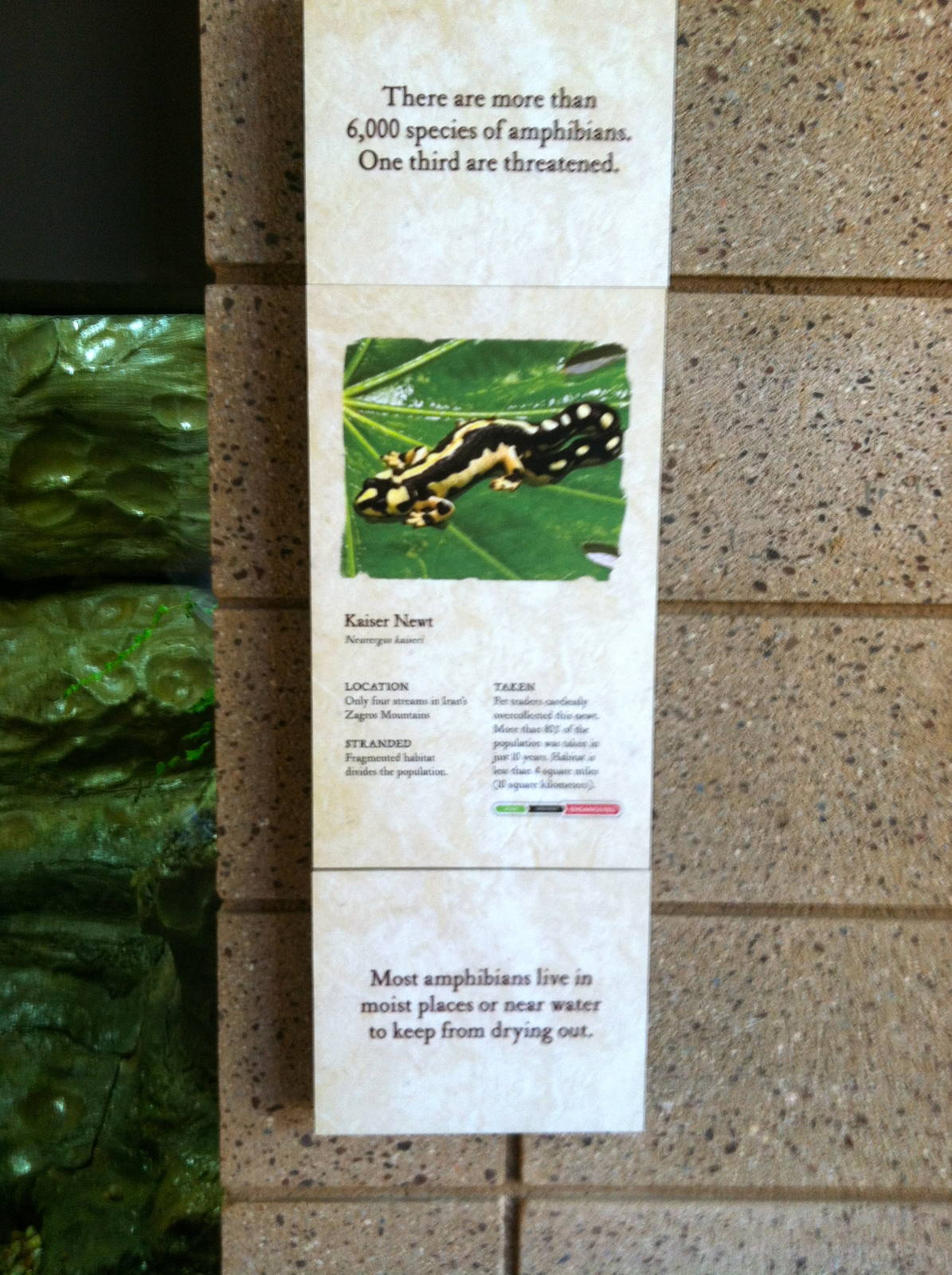 Retile Walk exhibit signs