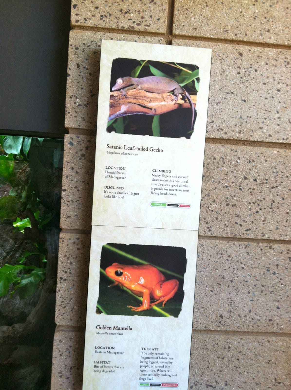 Retile Walk exhibit signs