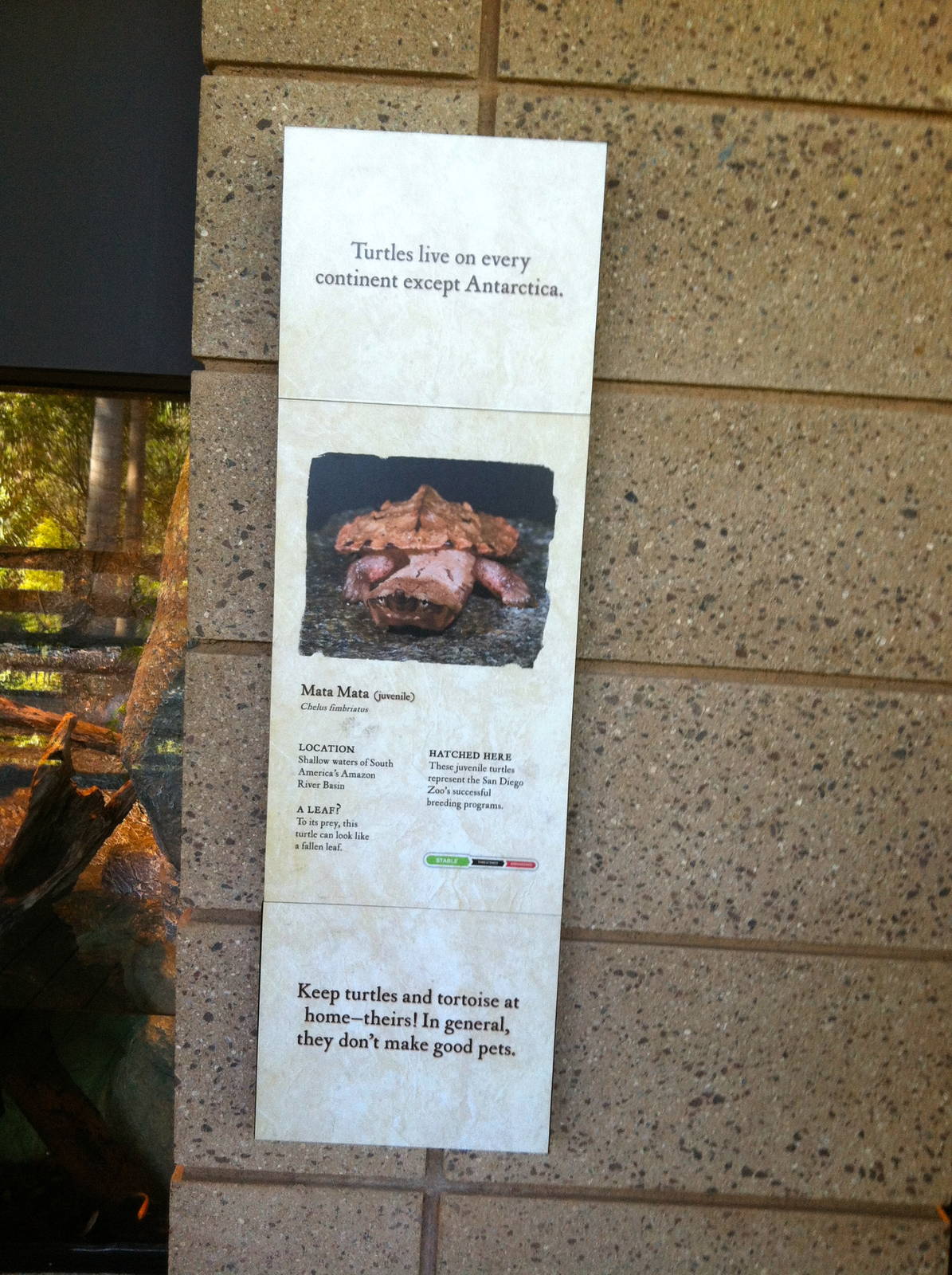 Retile Walk exhibit signs