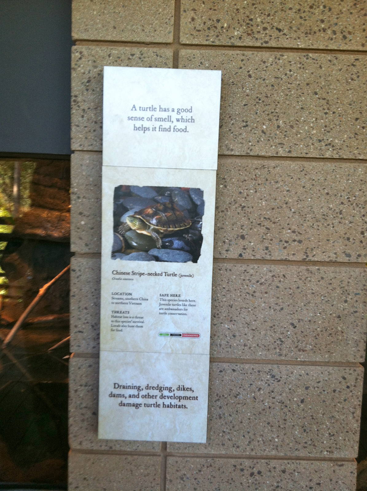 Retile Walk exhibit signs