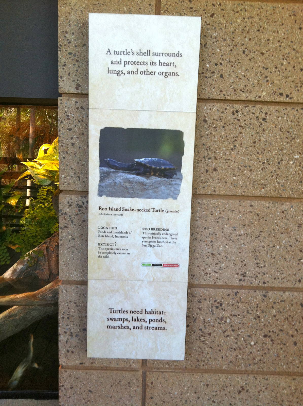 Retile Walk exhibit signs