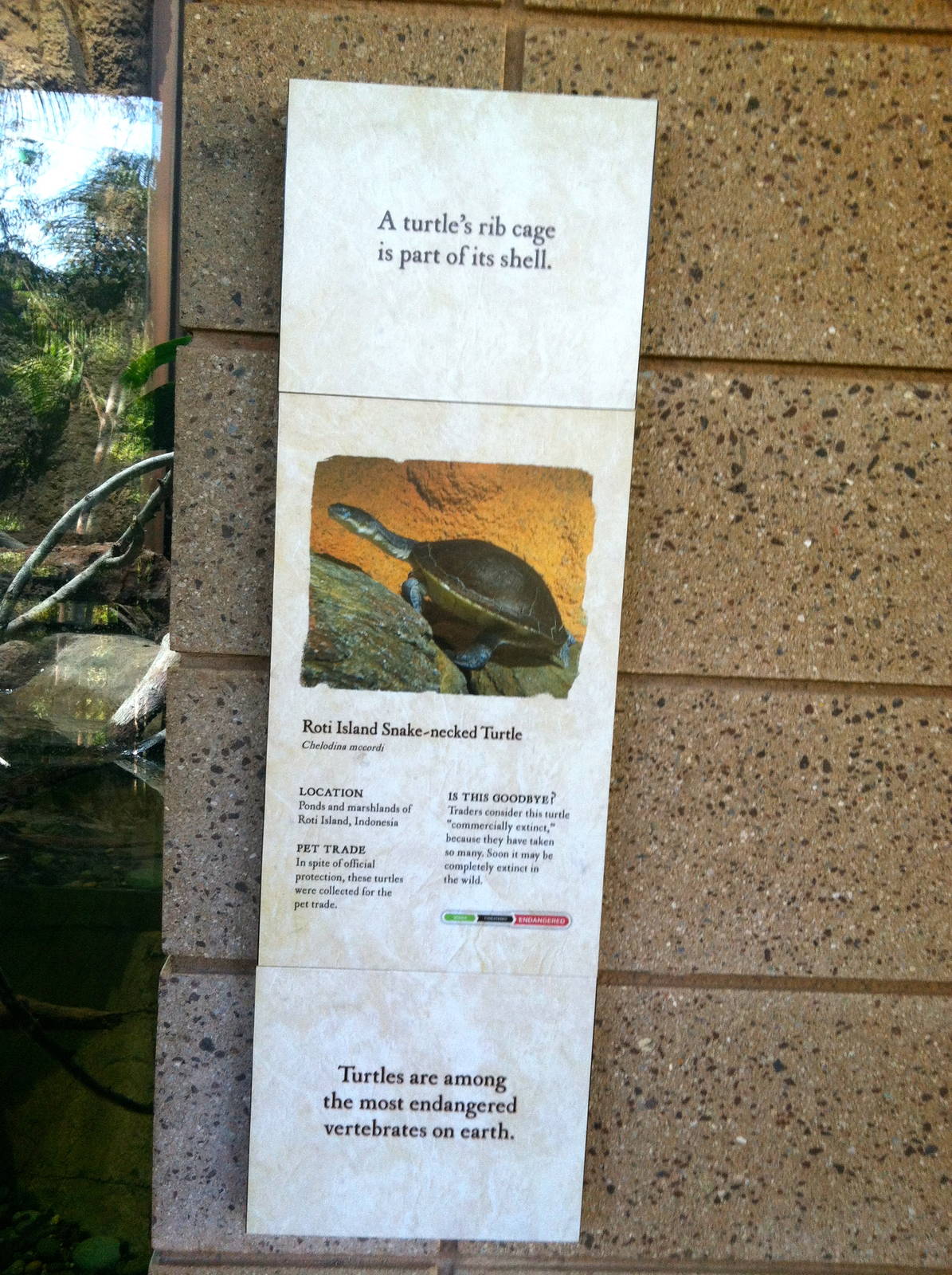 Retile Walk exhibit signs