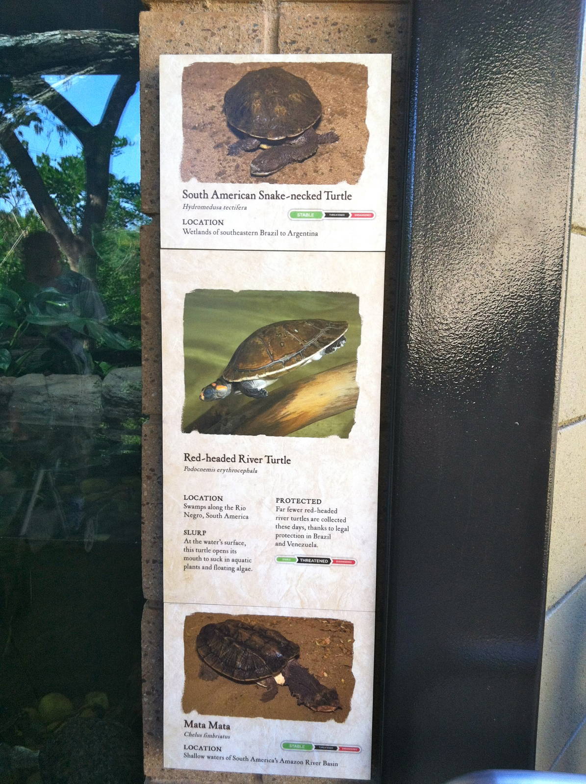 Retile Walk exhibit signs