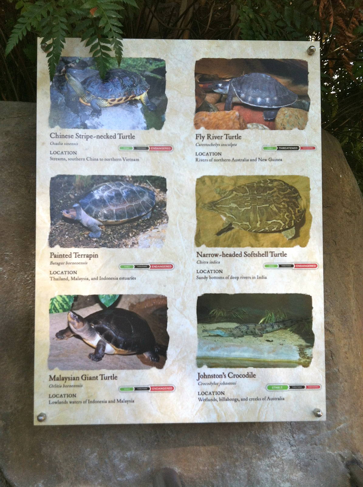 Retile Walk exhibit signs