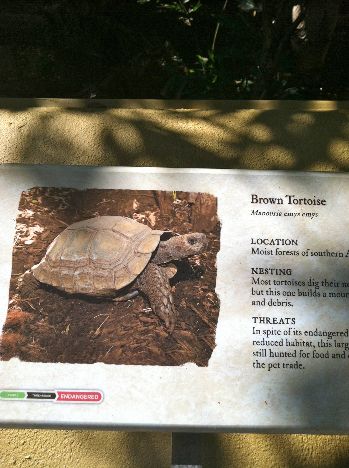 Retile Walk exhibit signs