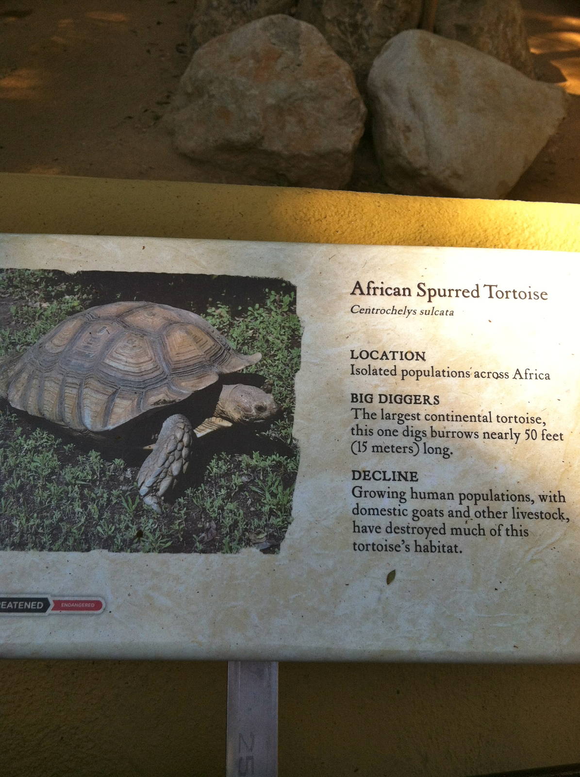 Retile Walk exhibit signs