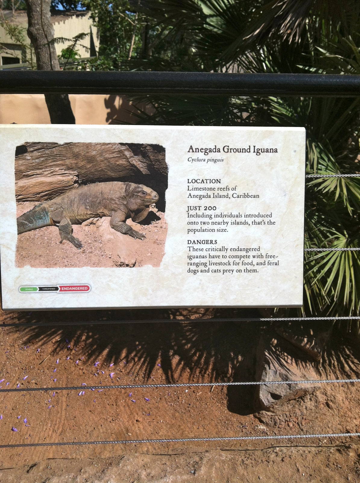 Retile Walk exhibit signs