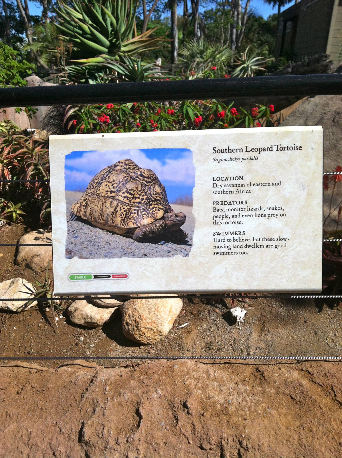 Retile Walk exhibit signs