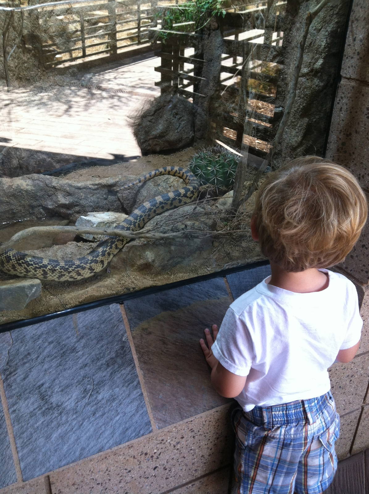 Retile Walk exhibit signs