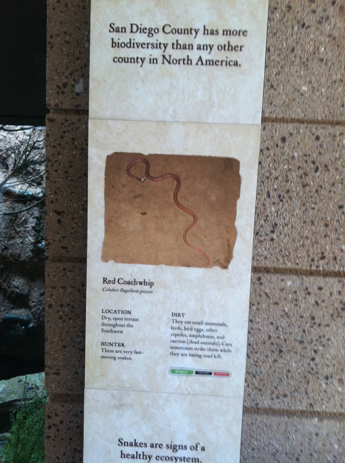 Retile Walk exhibit signs