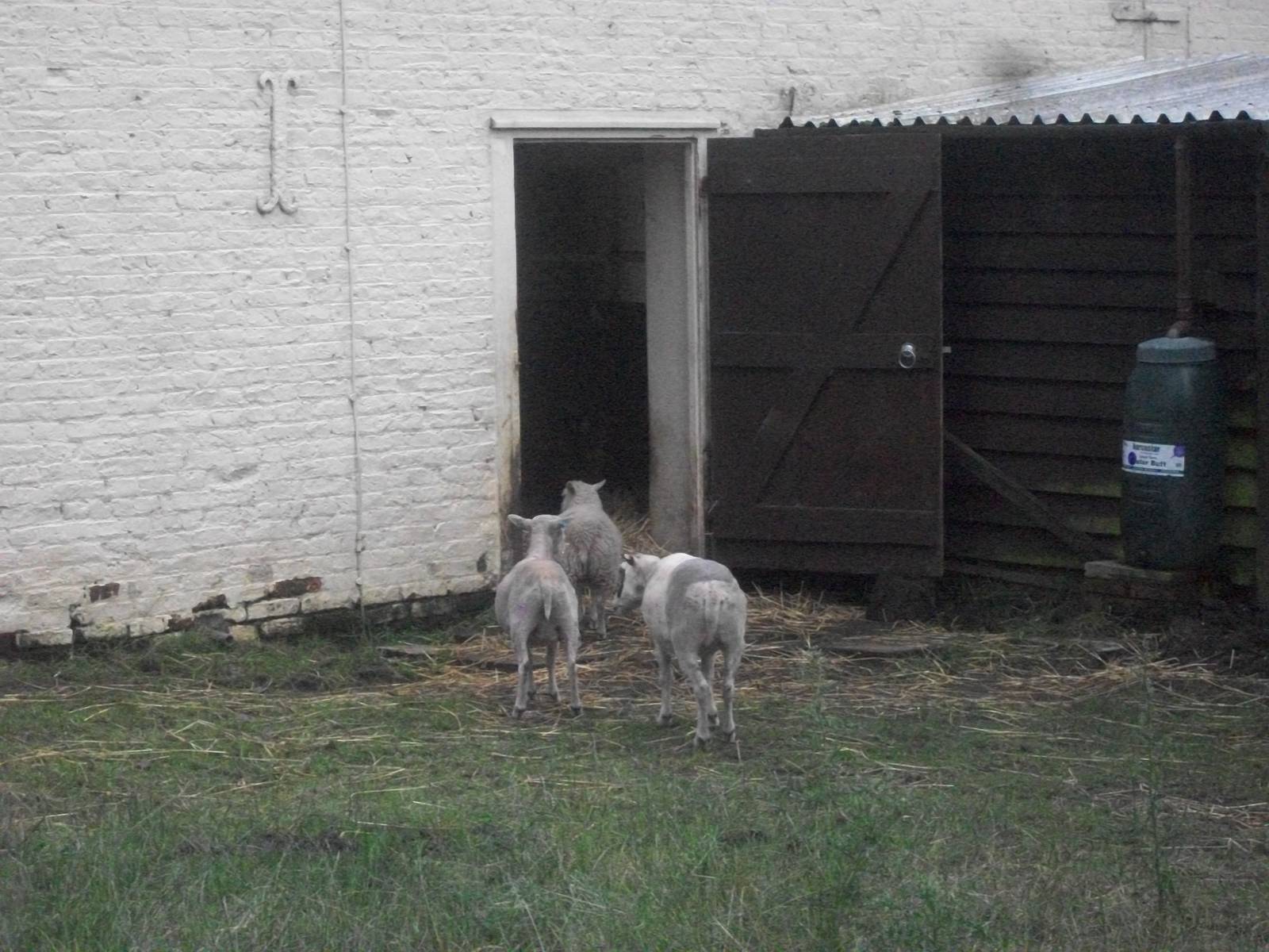 Retiring for the evening? 19th July 2014