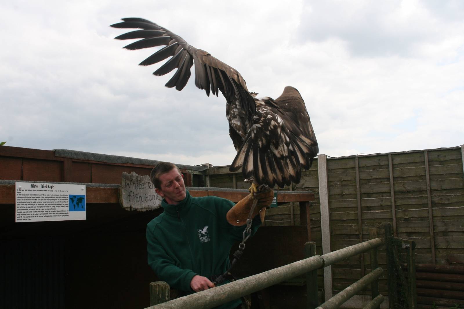 Returning to the Mews