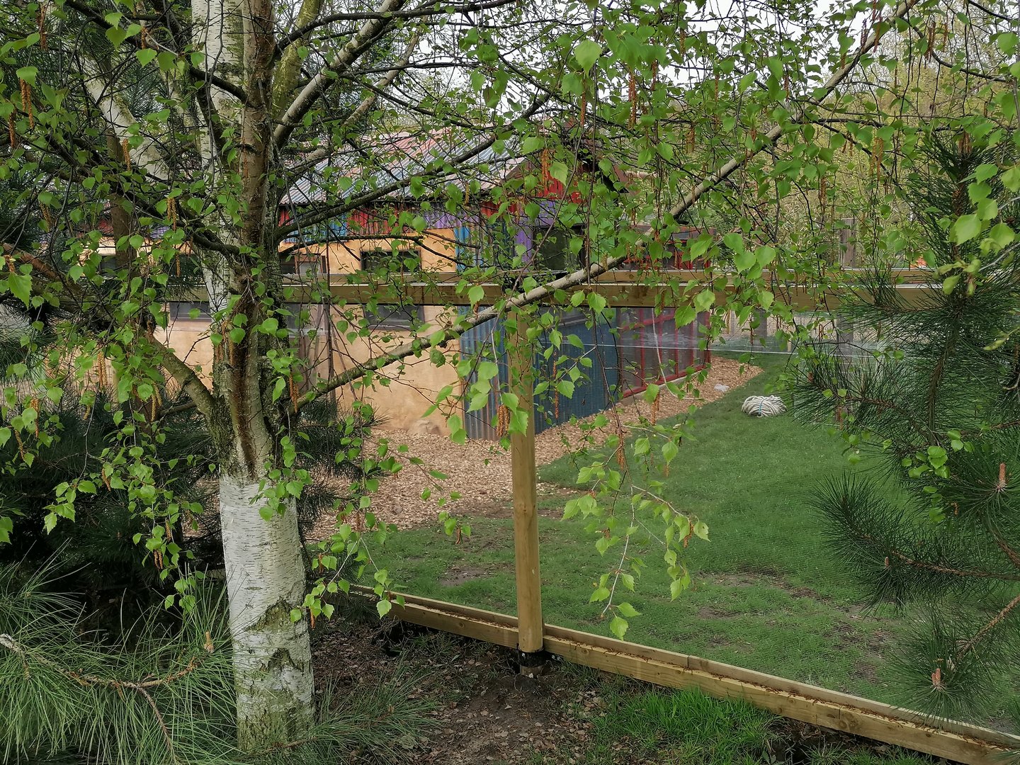 Revamp S.American walk through