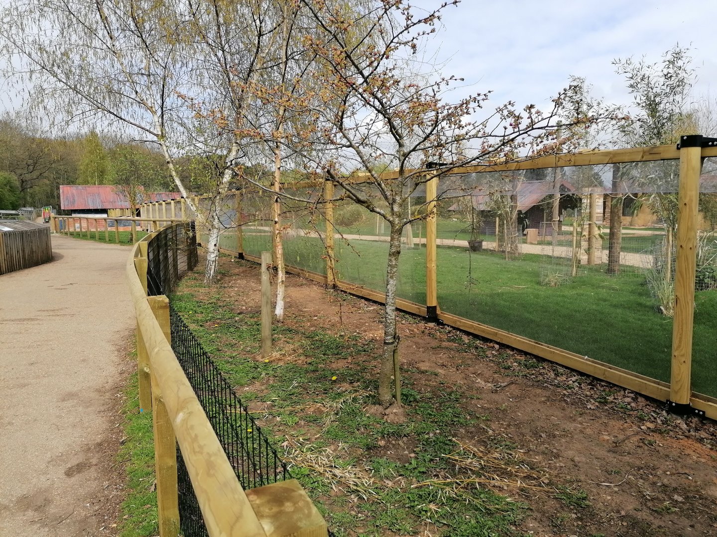 Revamp S.American walk through