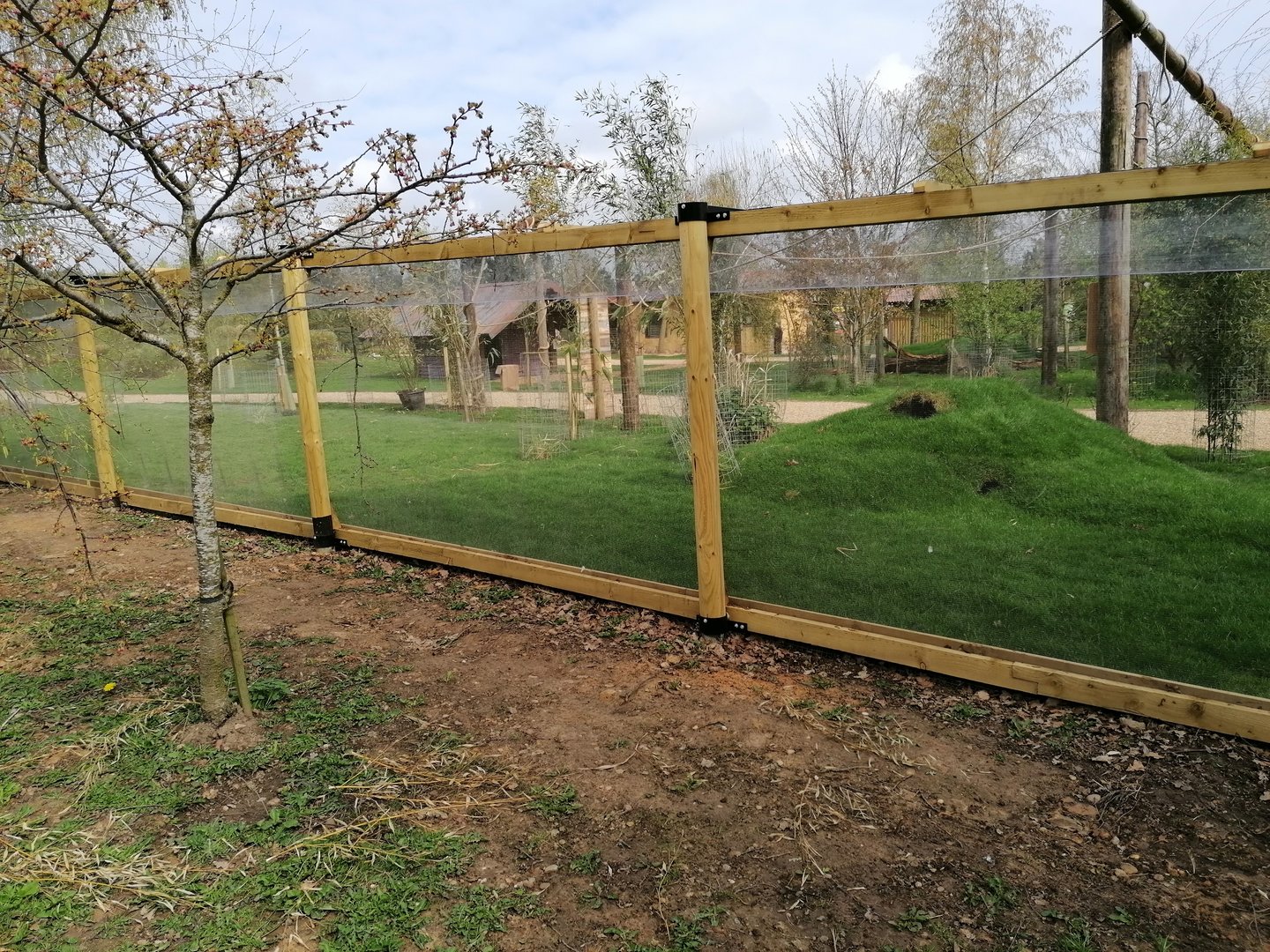 Revamp S.American walk through