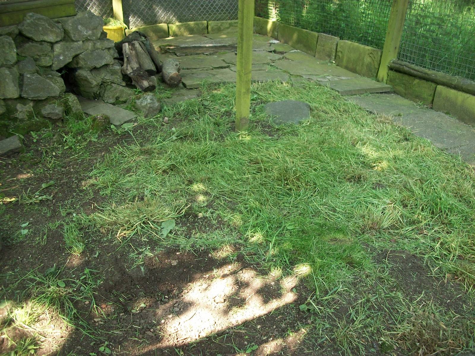Revamp underway in the former Rabbit/Guinea Pig exhibit, 1st June 2014