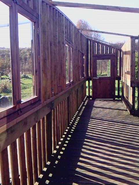 Revamped Aviary Viewing