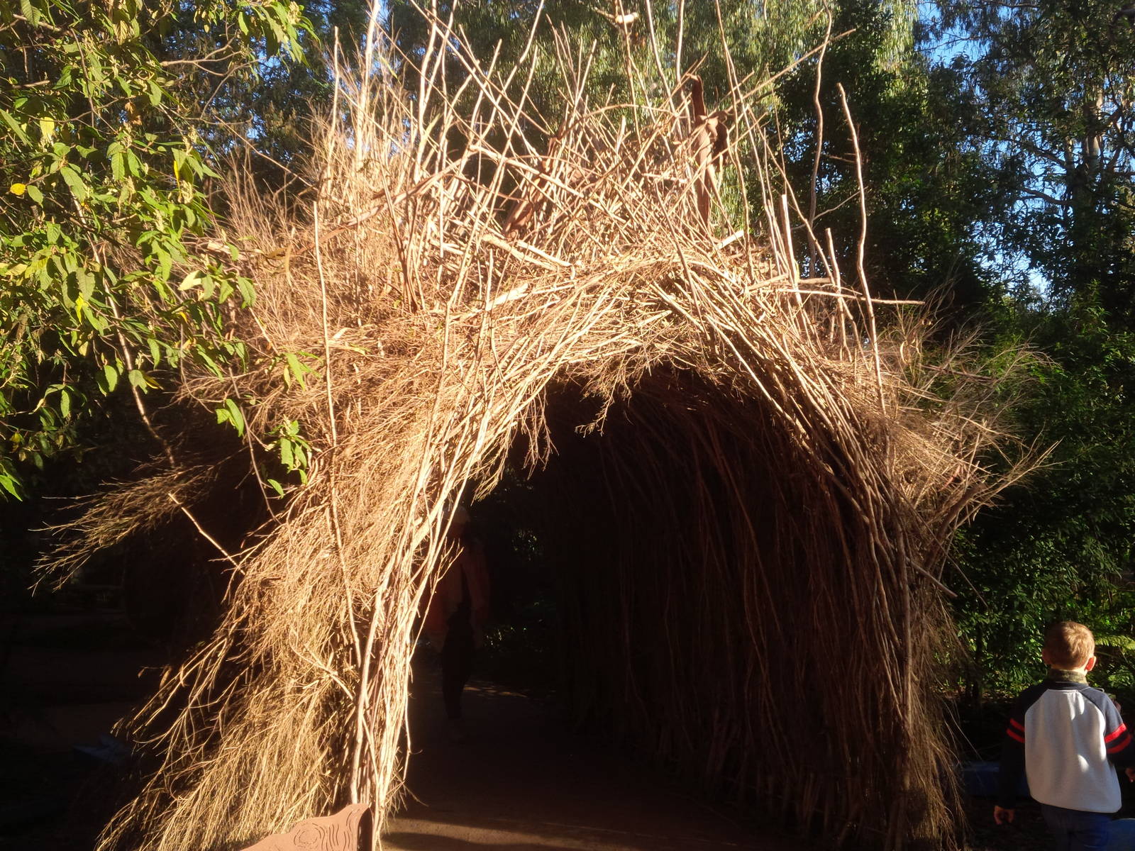 revamped entrance to the Lyre bird forrest avairy