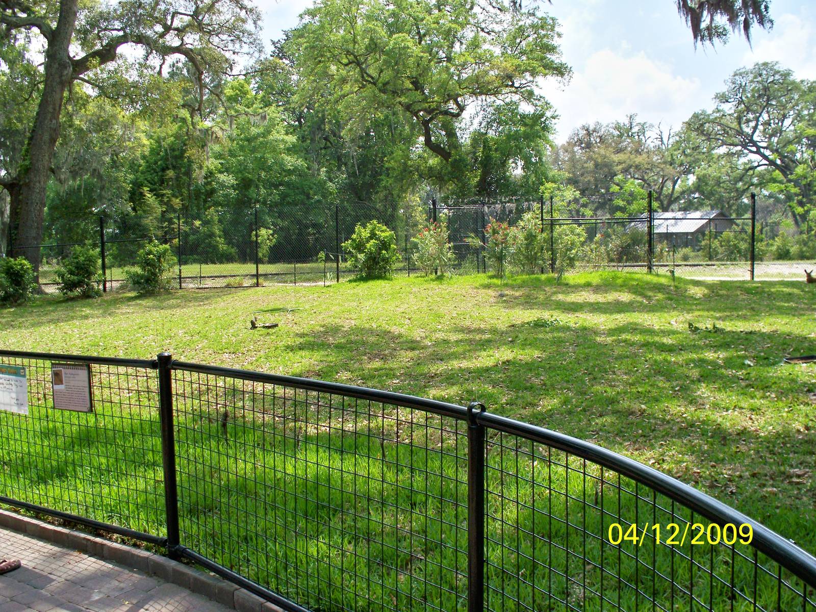 Revamped Kangaroo and Wallaby exhibit