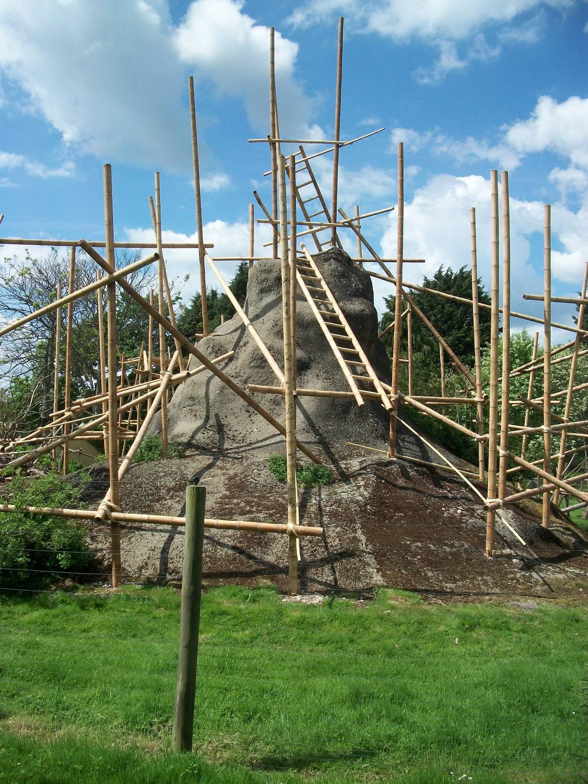 Revamped Lemur exhibit 31st May 2013