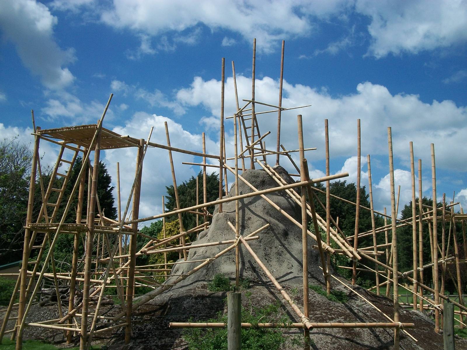 Revamped Lemur exhibit 31st May 2013