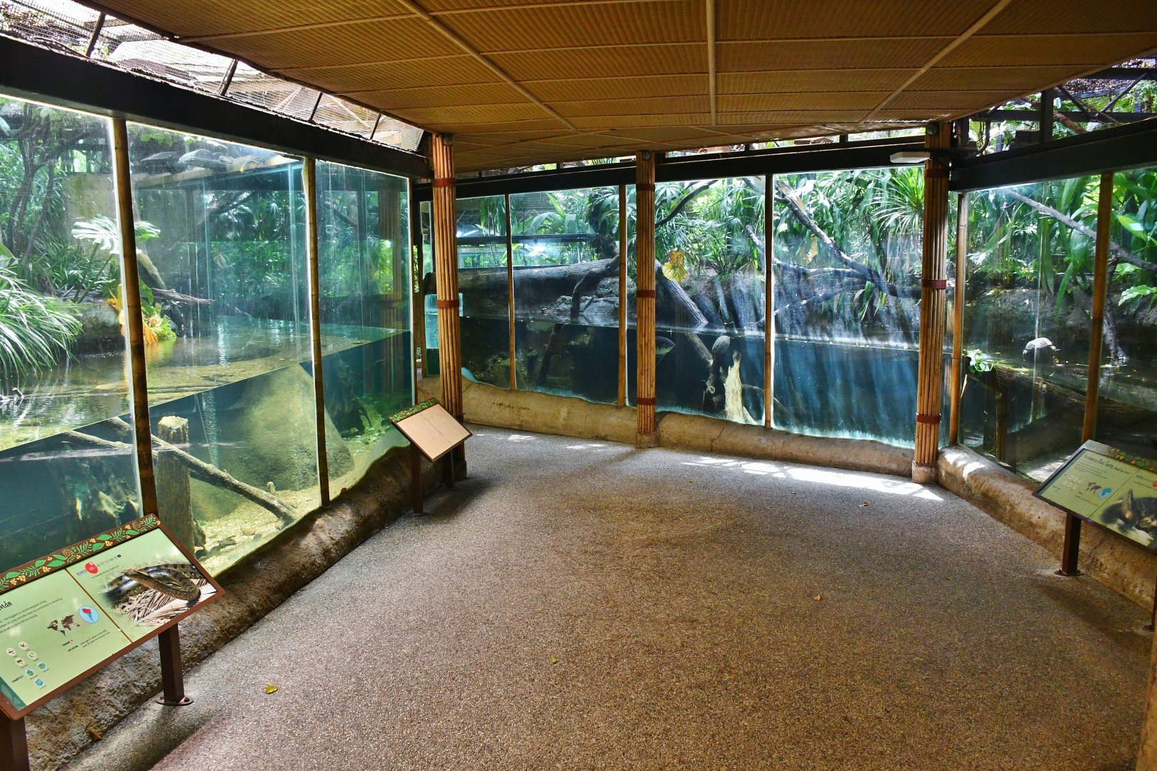 Revamped reptile exhibits