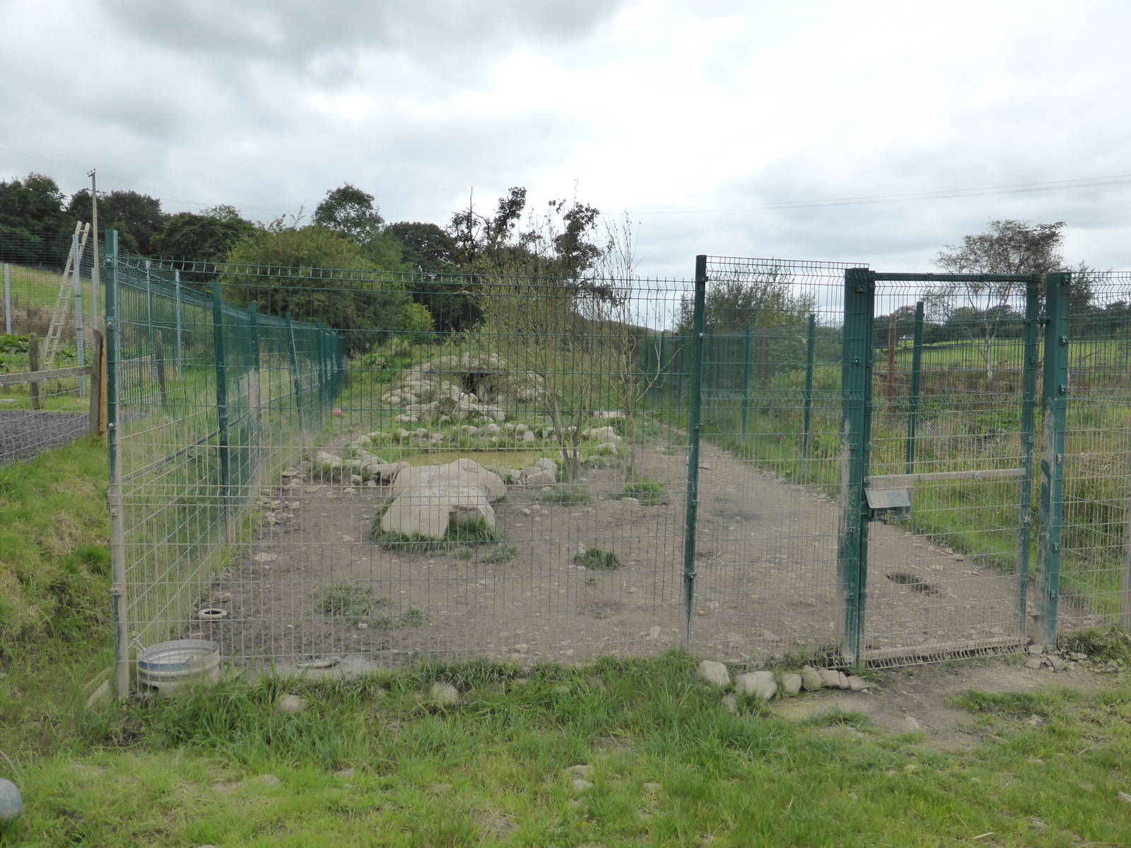 Revamped Wolf Enclosure .